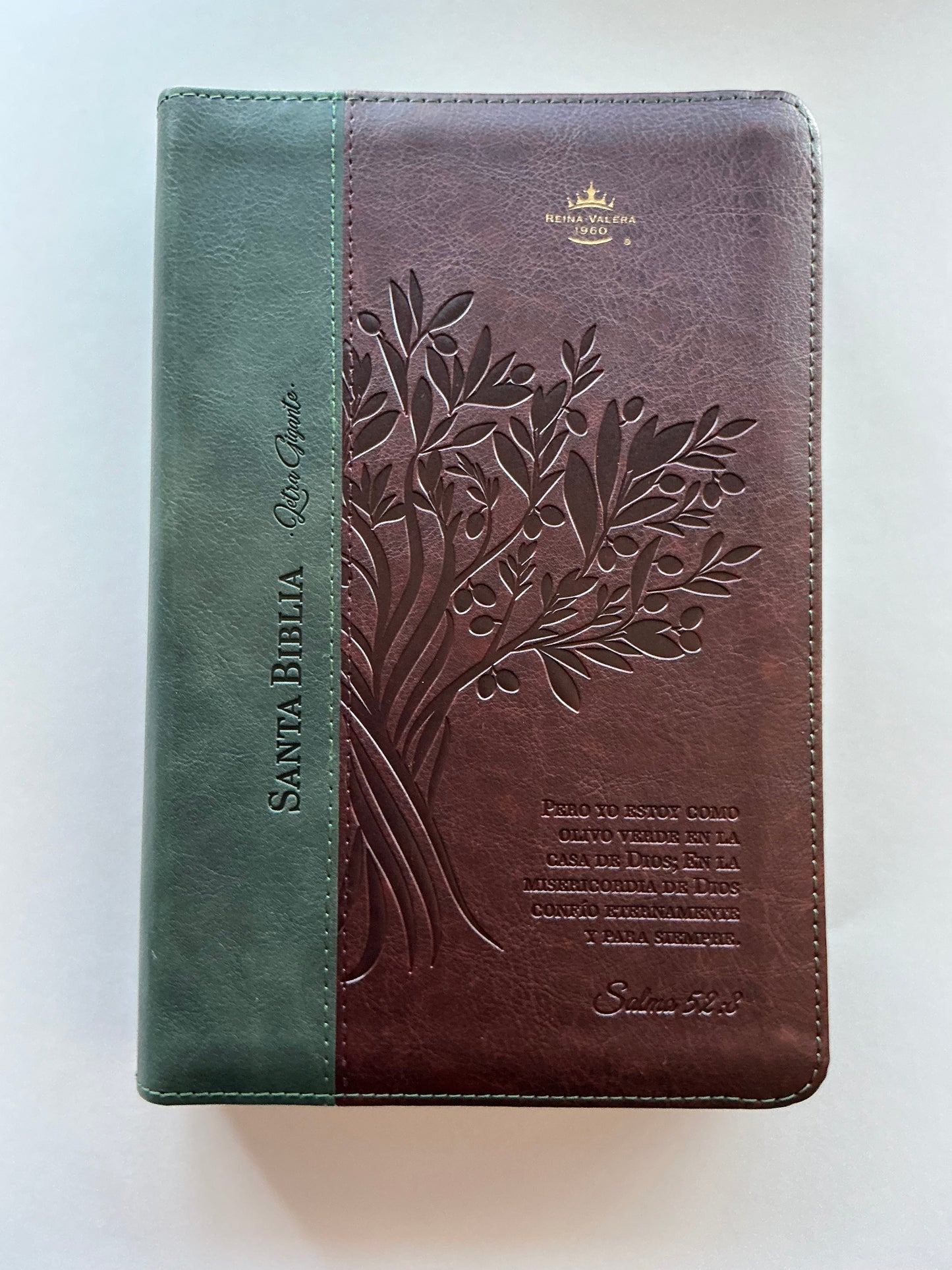 Biblia Letra Gigante 14 puntos