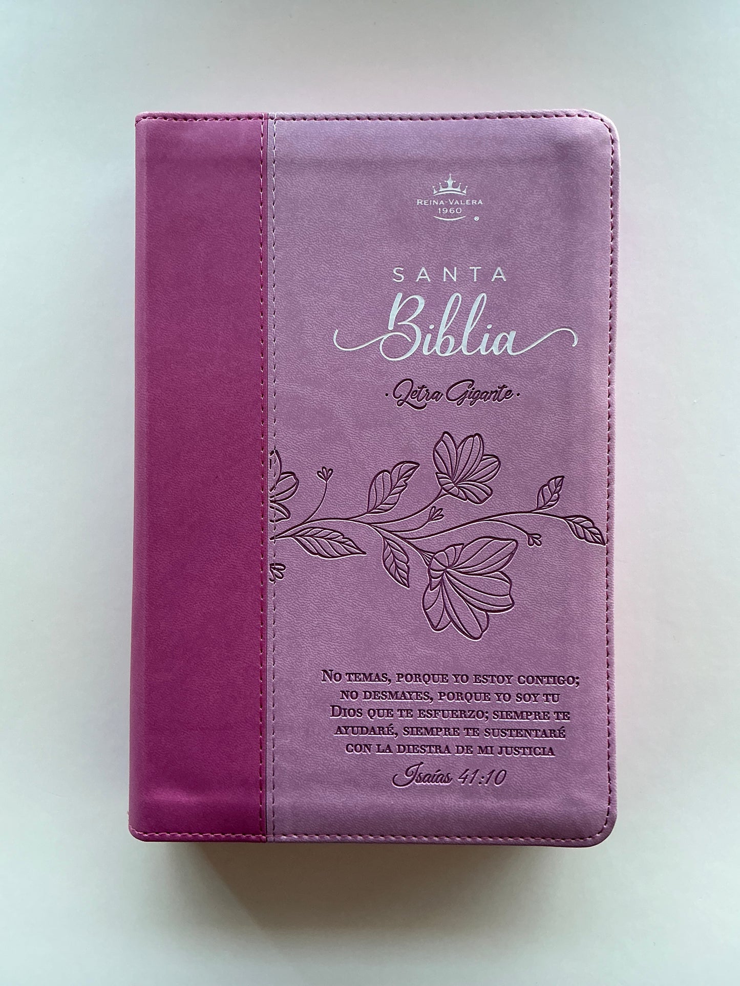 Biblia Letra Gigante 14 puntos