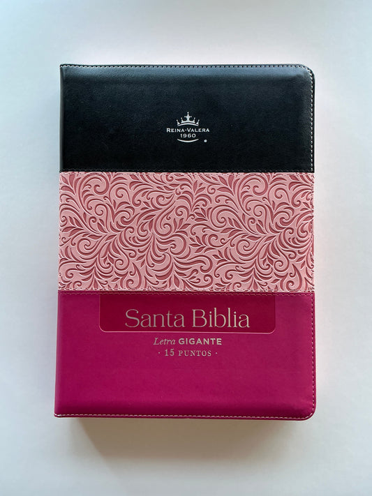 Biblia Letra Gigante 15 Puntos