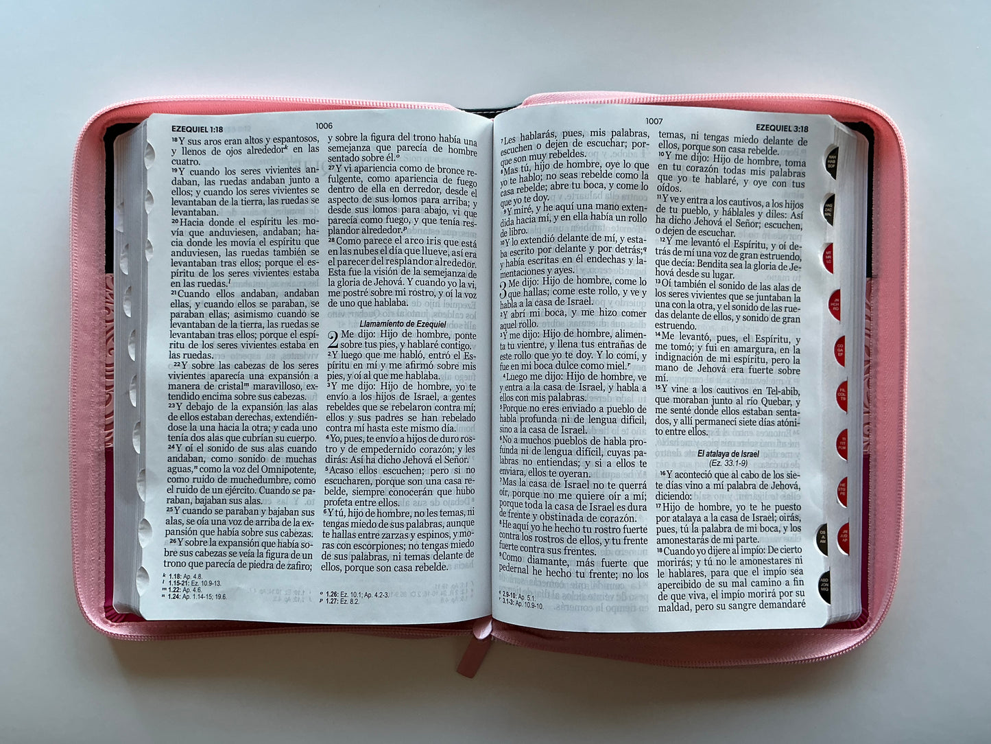 Biblia Letra Gigante 15 Puntos