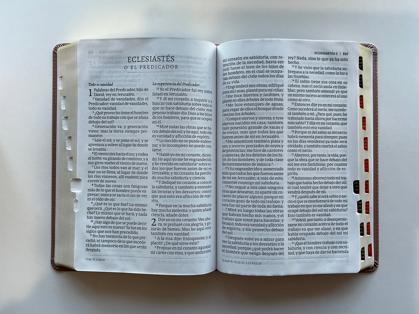 Biblia Letra Gigante con Referencias