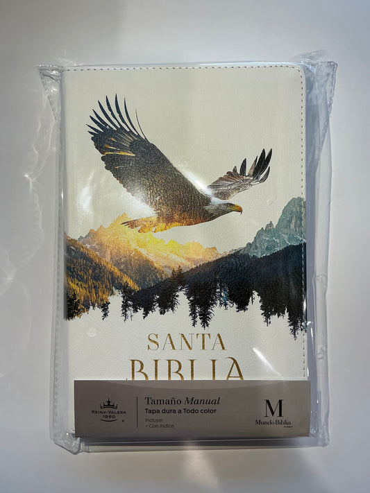 Biblia Letra Grande Tamaño Manual