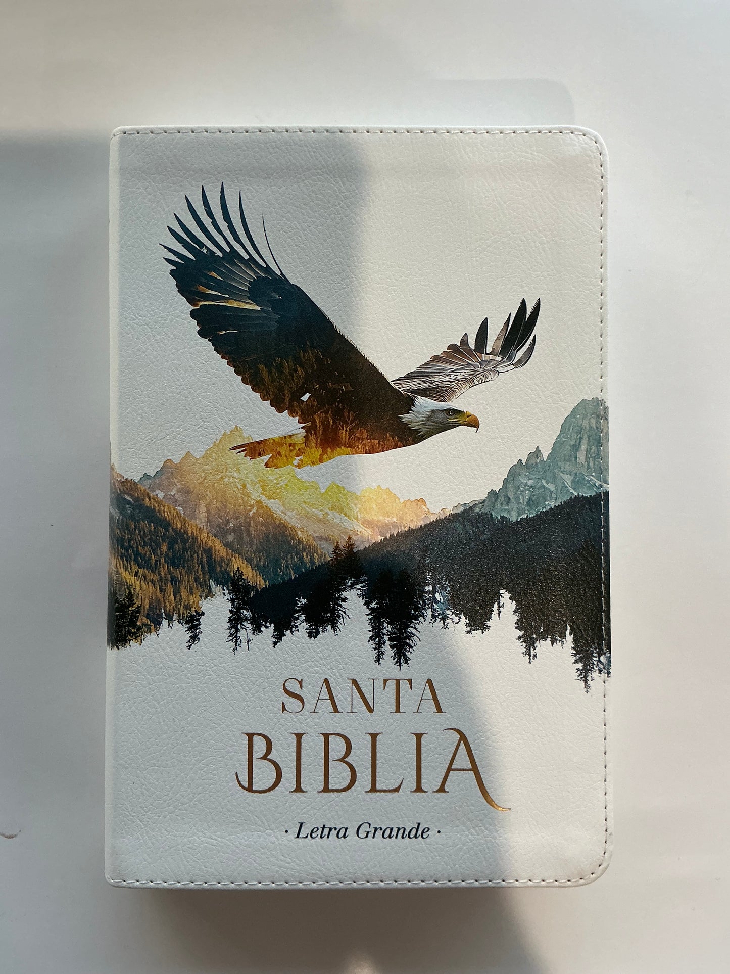 Biblia Letra Grande Tamaño Manual